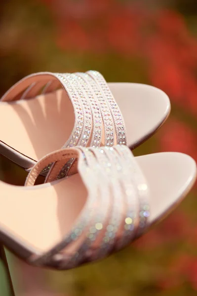 Elegant wedding shoes for the bride — Stock Photo, Image