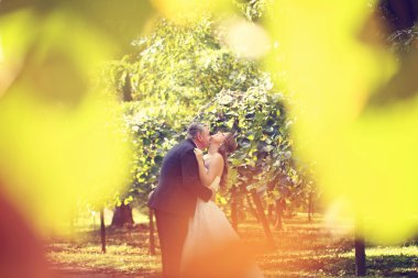 Gelin ve damat Fotoğrafçı sonbahar yaprakları ile