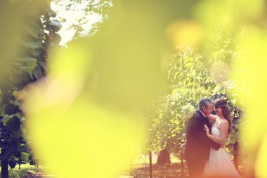 Gelin ve damat Fotoğrafçı sonbahar yaprakları ile