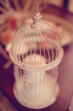 Kuş kafesi düğün dekorasyon