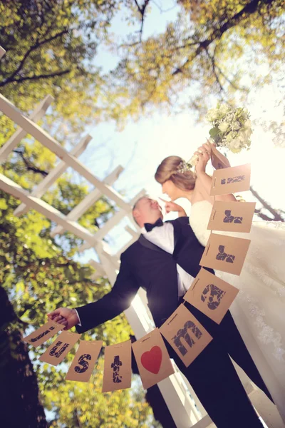 Just Married couple in the park — Stock Photo, Image