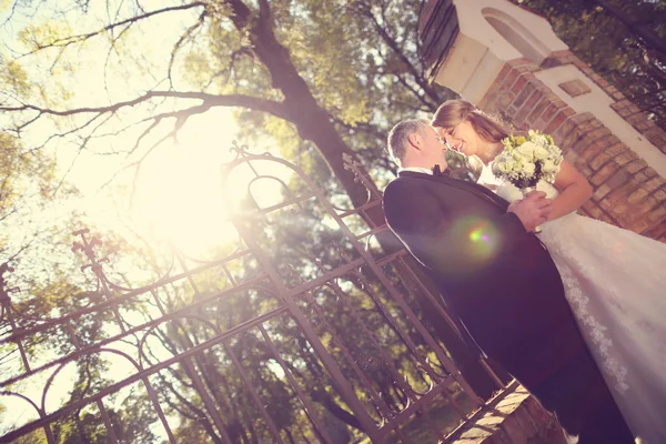 Bride and groom in the park — Stock Photo, Image