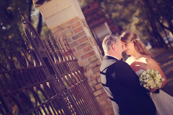 Bride and groom in the park — Stock Photo, Image