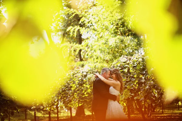 Fotógrafo de noivo e noiva através de folhas de outono — Fotografia de Stock