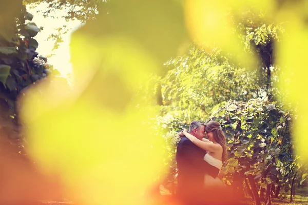 Sposa e sposo fotografo attraverso foglie autunnali — Foto Stock