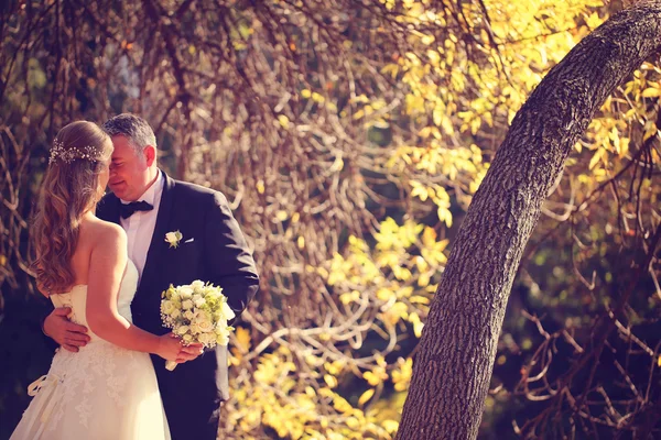 Bride and groom on a autumn day — Stock Photo, Image