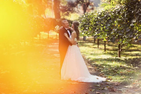 Mariée et marié un jour d'automne — Photo