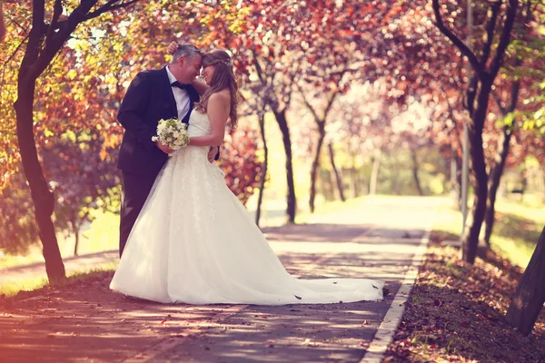 Bride and groom on a autumn day — Stock Photo, Image