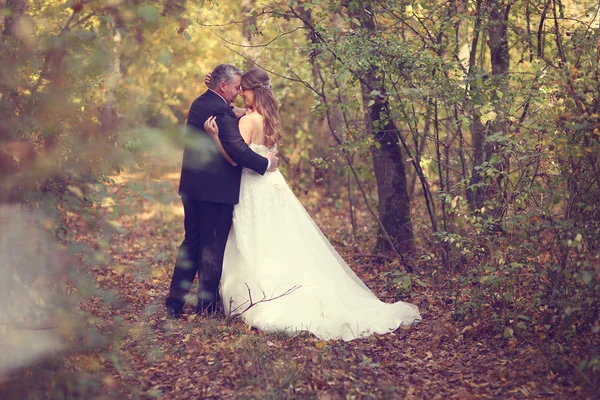 Braut und Bräutigam im Wald — Stockfoto
