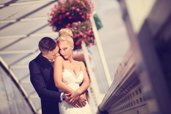 Bride and groom on a metallic bridge — Stock Photo, Image