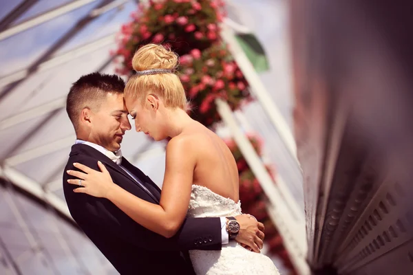 Bride and groom on a metallic bridge — Stock Photo, Image