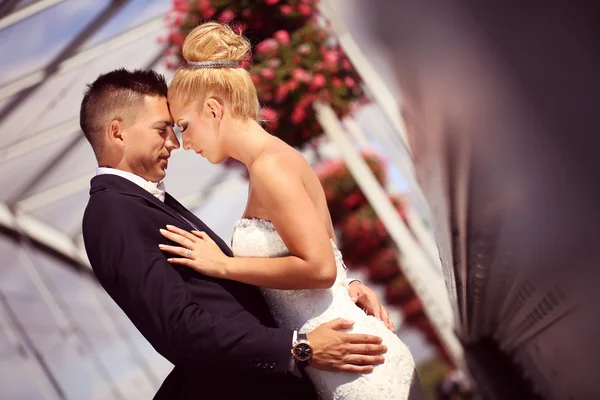 Bruden och brudgummen på en metallisk bro — Stockfoto