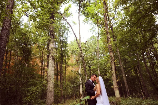 Bride and groom in the forest — Stock Photo, Image