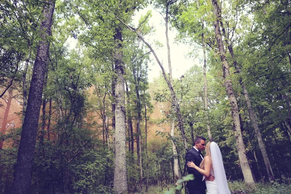 Mariée et marié dans la forêt — Photo