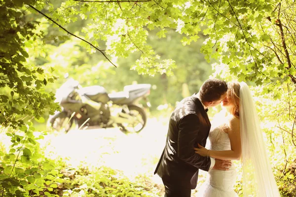 Bride and groom in the forest — Stock Photo, Image