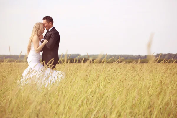 Bride and groom in the fields — Stock Photo, Image