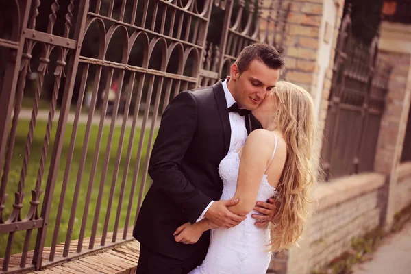 Bride and groom celebrating — Stock Photo, Image