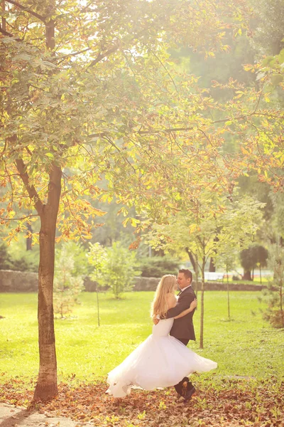 Bride and groom kissing in the park — Stock Photo, Image