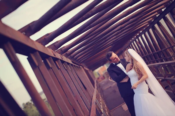 Novia y novio en un puente — Foto de Stock