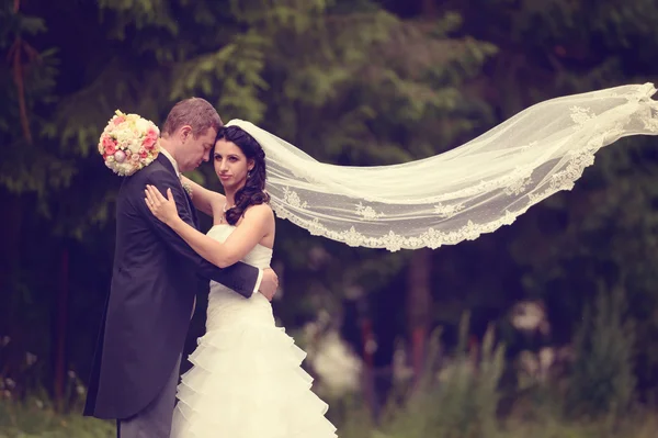 Novia y novio en el bosque — Foto de Stock