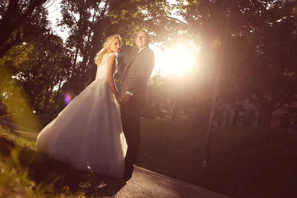 Bride and groom in a beautiful sunlight — Stock Photo, Image
