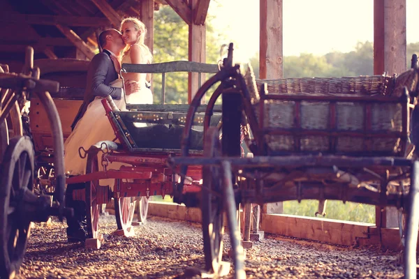 신부와 신랑의 마차 — 스톡 사진