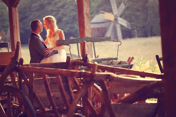 Bride and groom in a carriage — Stock Photo, Image