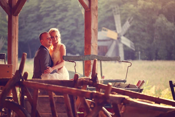 Bride and groom in a carriage — Stock Photo, Image