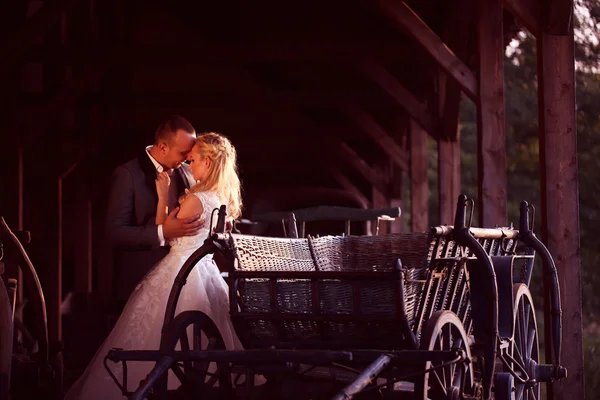 Bride and groom near carriage — Stock Photo, Image