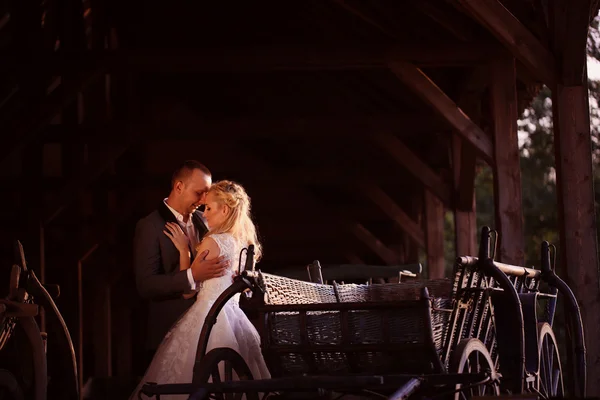 Sposo e sposo vicino alla carrozza — Foto Stock