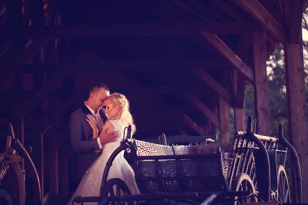 Sposo e sposo vicino alla carrozza — Foto Stock