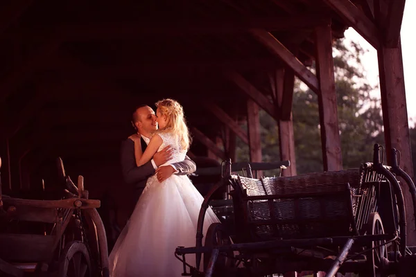 Nevěsta a ženich poblíž kočár — Stock fotografie