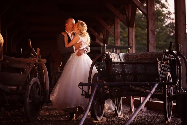 Bride and groom near carriage — Stock Photo, Image