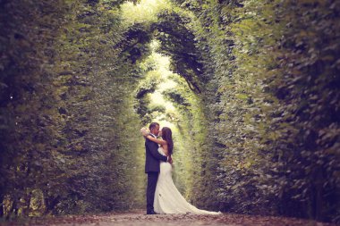 Gelin ve damat Schonbrunn Bahçe, Viyana