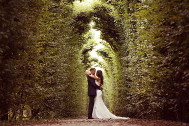 Gelin ve damat Schonbrunn Bahçe, Viyana
