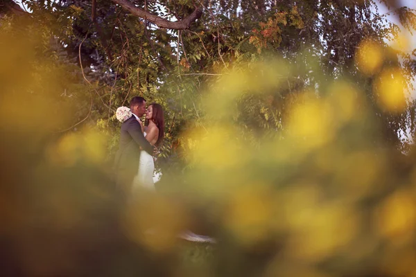 Bruden och brudgummen omfamnar i skogen — Stockfoto