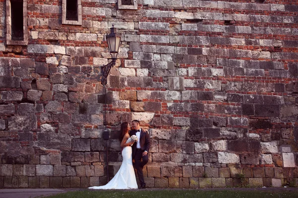 Bride and groom leaning against a brick wall — Stock Photo, Image