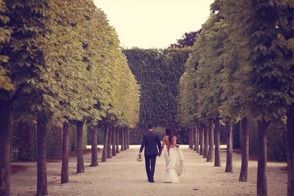 Indietro di una sposa e sposo passeggiando nel parco — Foto Stock
