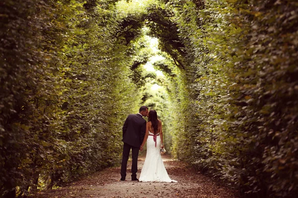 Bruden och brudgummen i trädgården av Schonbrunn, Vienna — Stockfoto
