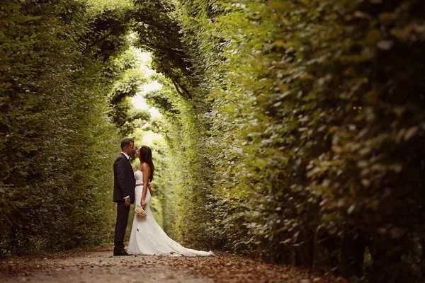 Bruden och brudgummen i trädgården av Schonbrunn, Vienna — Stockfoto