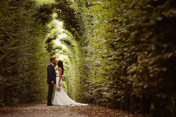 Bride and groom in garden of Schonbrunn, Vienna — Stock Photo, Image