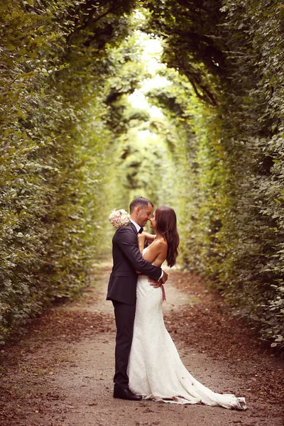 Vertical photograph of a bride and groom embracing surrounded by trees — Stock Photo, Image