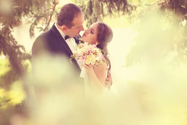 Mariée et marié embrassant dans la nature — Photo