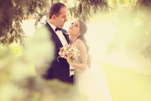 Novia y novio abrazándose en la naturaleza — Foto de Stock