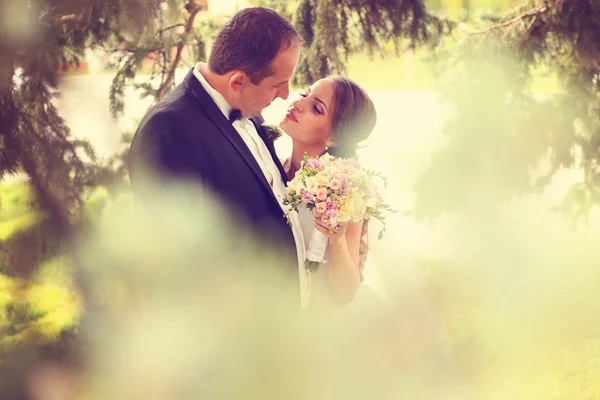 Bruden och brudgummen embracing i naturen — Stockfoto