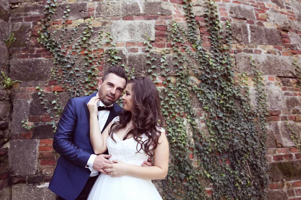 Bruden och brudgummen poserar mot ett igenmurat vägg — Stockfoto
