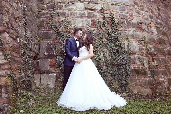 Bride and groom posing against a bricked wall — Stock Photo, Image