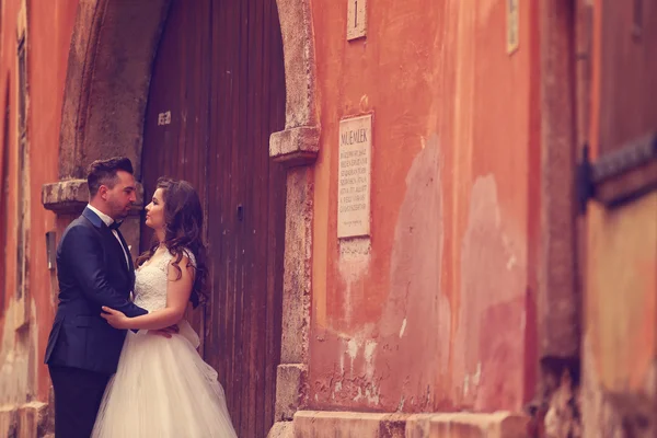 Bruden och brudgummen tittar på varandra — Stockfoto