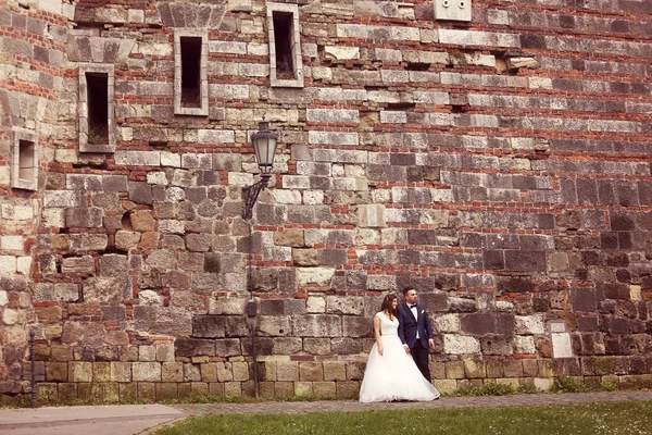 Bride and groom posing against a bricked wall — Stock Photo, Image