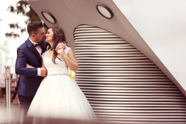 Bruden och brudgummen firar — Stockfoto